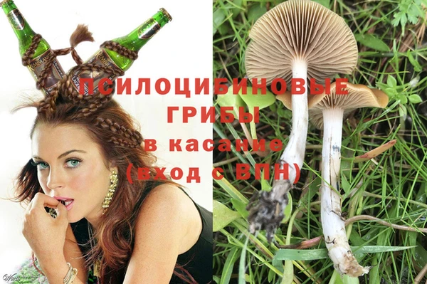 твердый Алексеевка