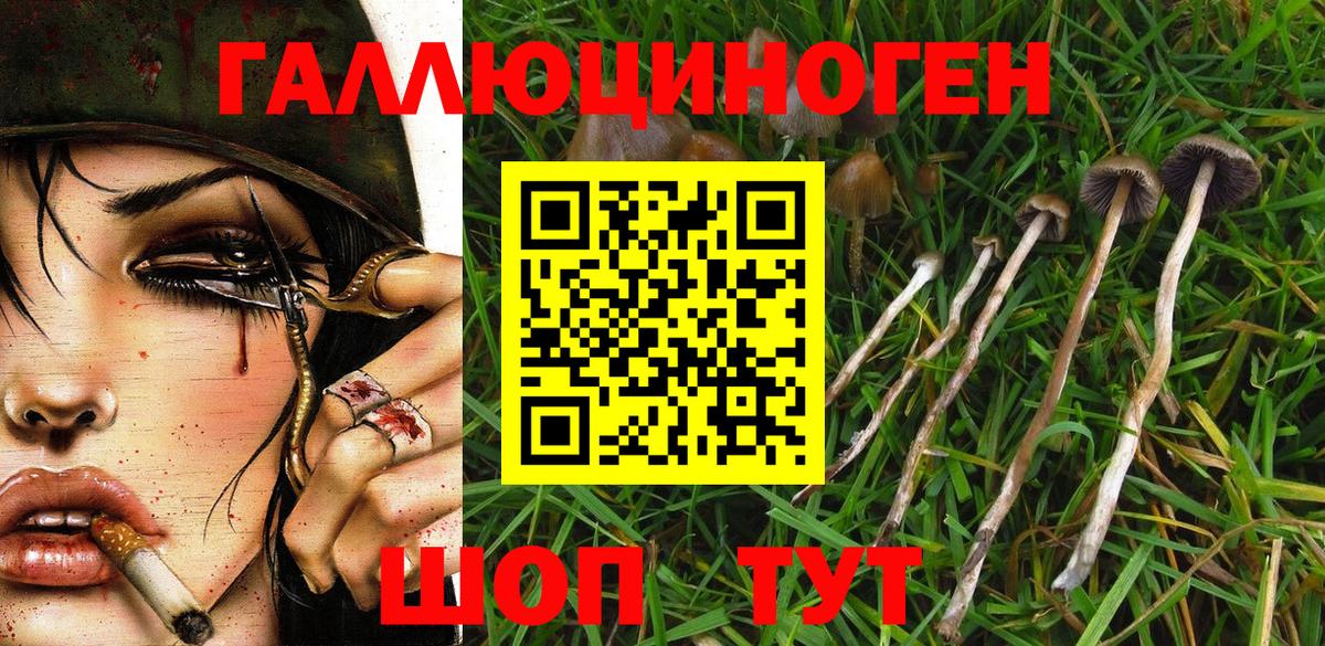 Старый Оскол  Псилоцибиновые грибы Psilocybine cubensis  Вход с VPN  Псилоцибиновые грибы GOLDEN TEACHER 